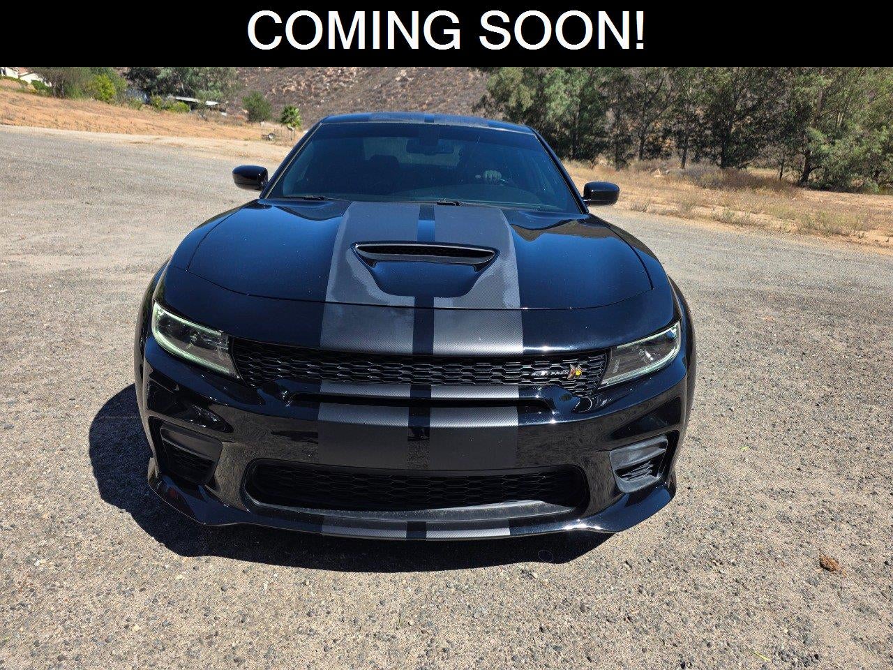 2022 Dodge Charger Scat Pack Widebody