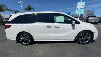 2024 Honda Odyssey Elite