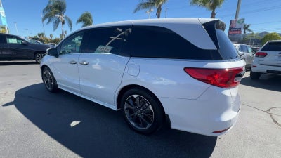 2024 Honda Odyssey Elite