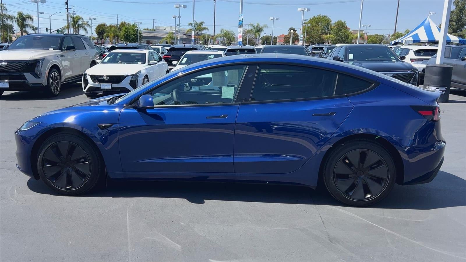 2025 Tesla Model 3 Long Range