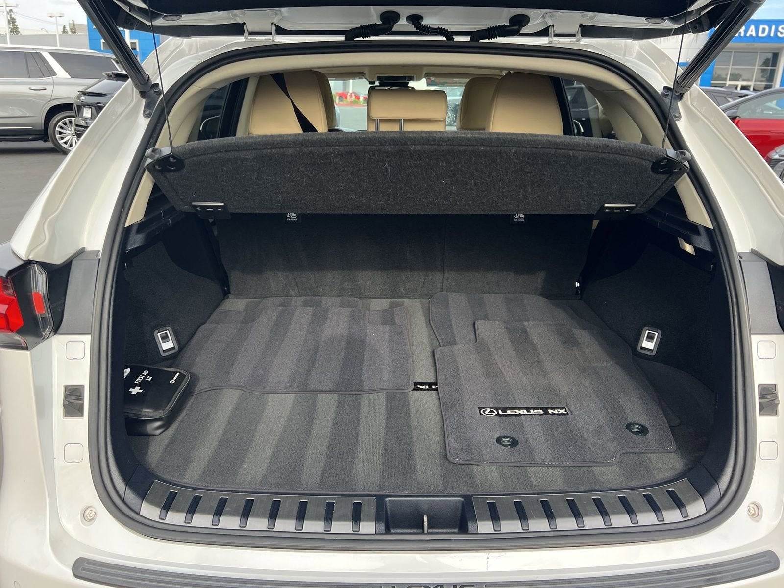 2019 Lexus NX 300h NX 300h