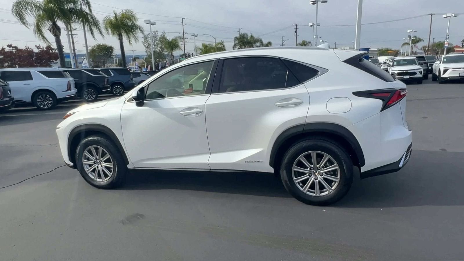 2019 Lexus NX 300h NX 300h